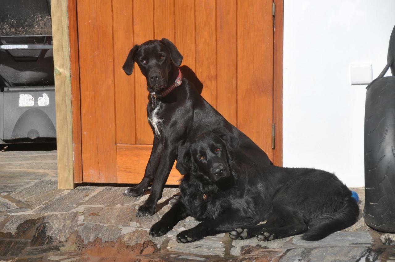 Penzion Quinta Do Bom Vento Óbidos Exteriér fotografie